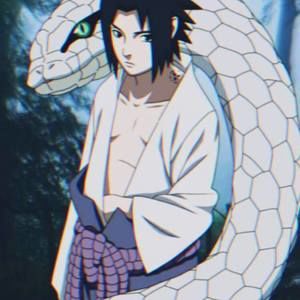 Meet your Posher, Damian